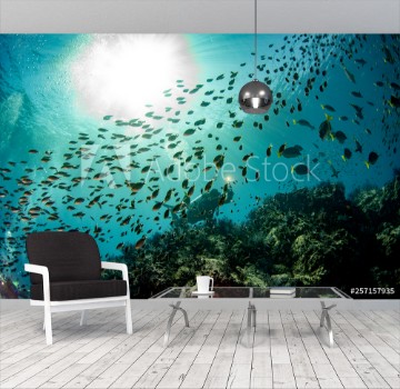 Image de Sardine school of fish ball underwater